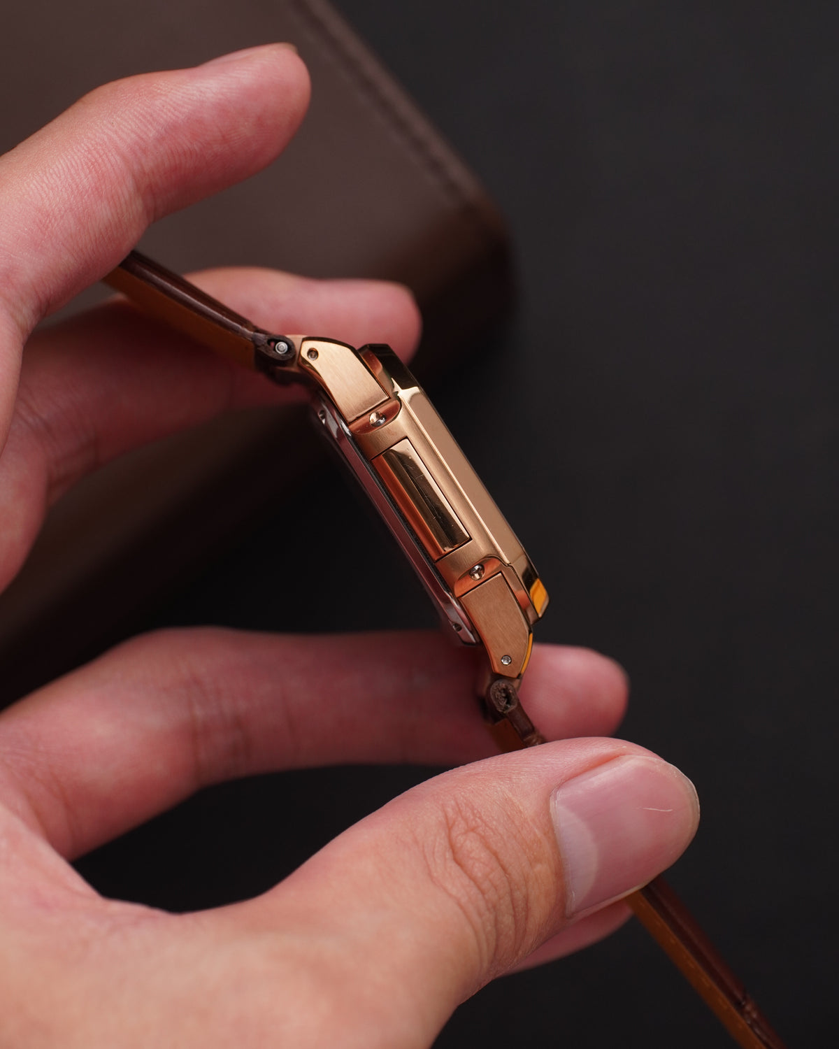 Specht & Söhne SP0028A Cubitus Automatic